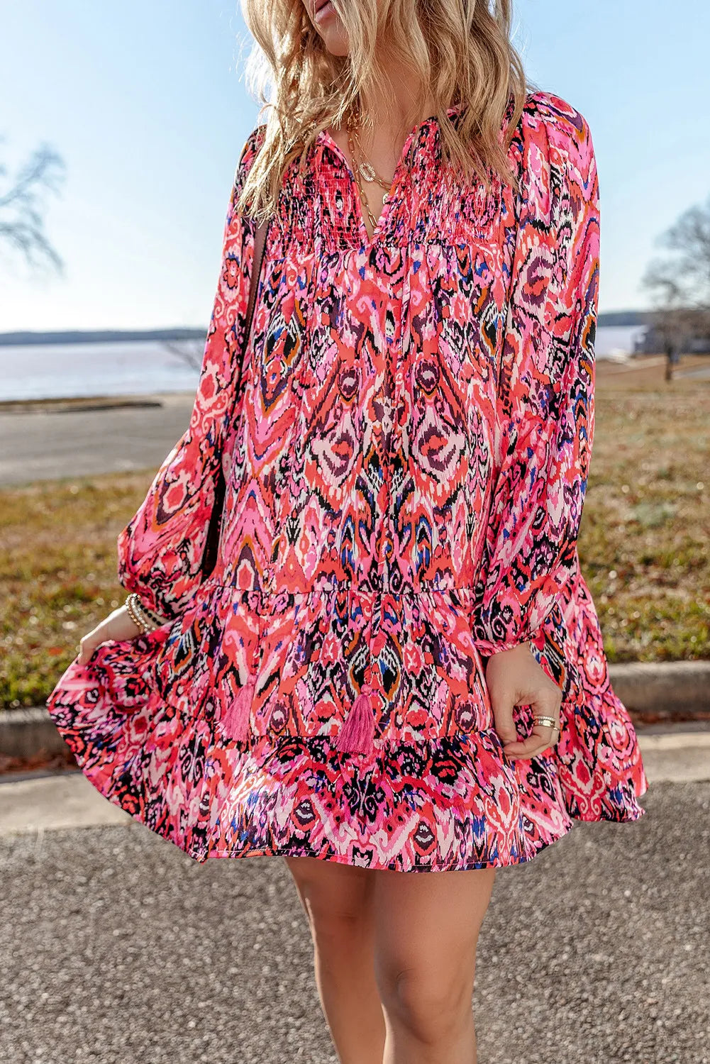 Printed Tie Neck Long Sleeve Dress