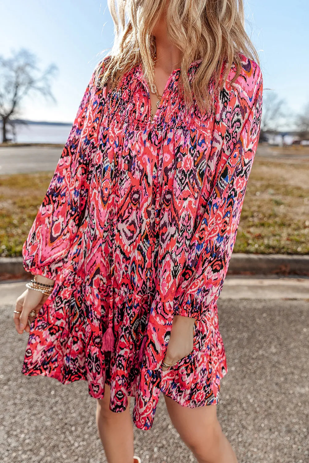 Printed Tie Neck Long Sleeve Dress